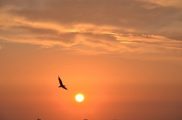 Фотовиставка Вікторії Величко